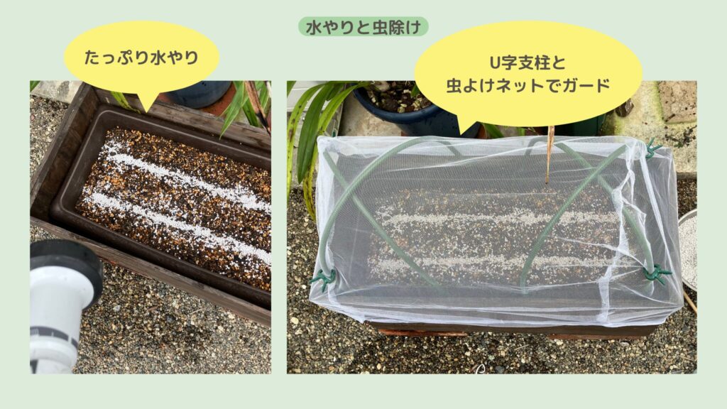 alt="水やりと害虫対策"