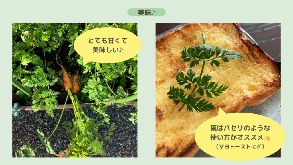 alt="にんじん 美味しくいただきました"