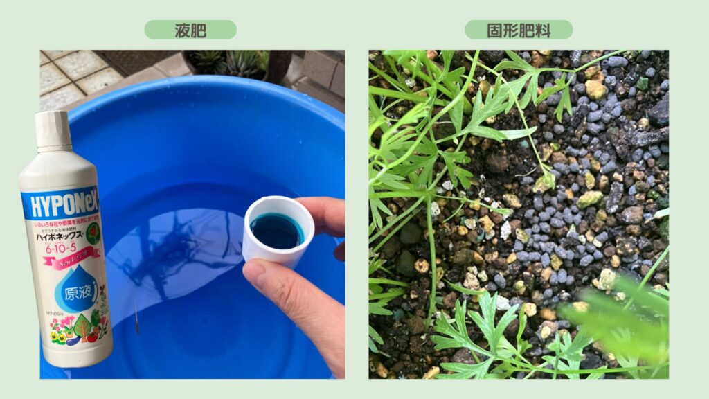 alt="液体肥料と固形肥料"