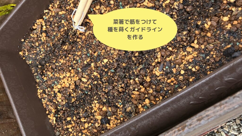 alt="にんじんの種まき前に、土に筋をつけている様子"