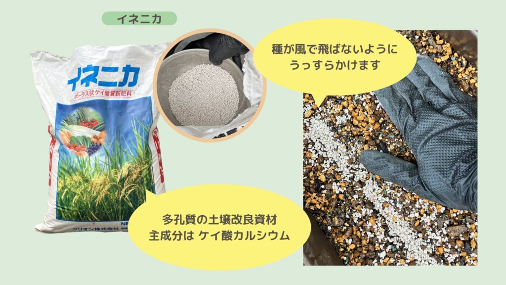 alt="イネニカで覆土"