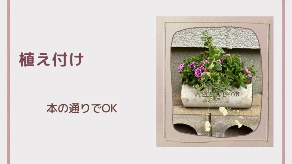 本のパターン通りに植え付けを開始する様子