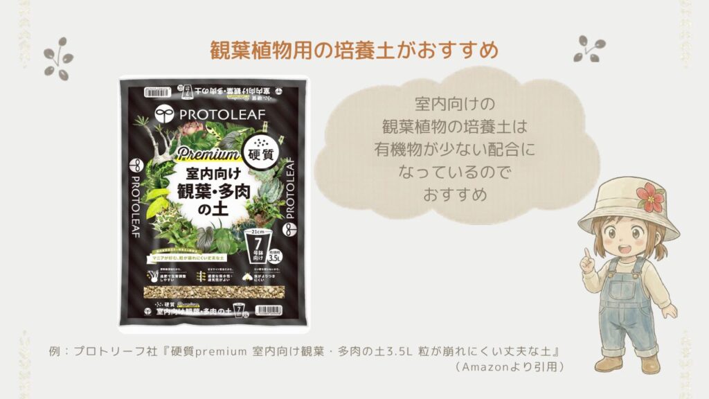 ゴムの木の植え替えに使う土の材料を並べた様子