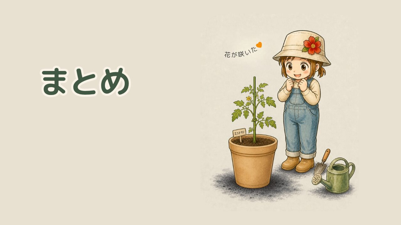 毎日の観察