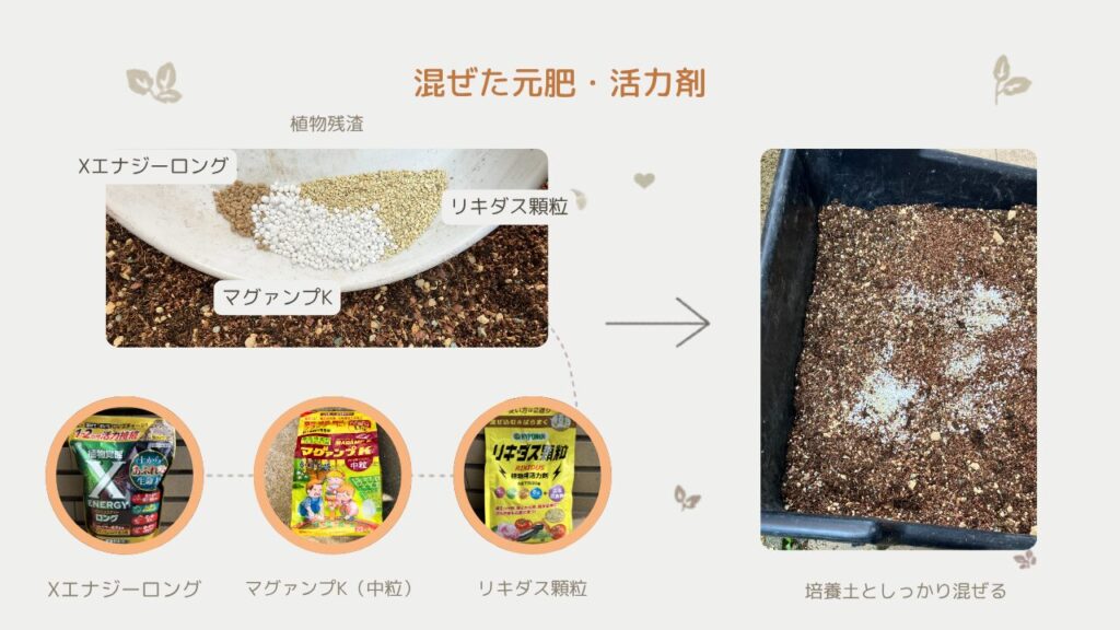 元肥（マグァンプK）と活力剤を土に混ぜて準備している様子