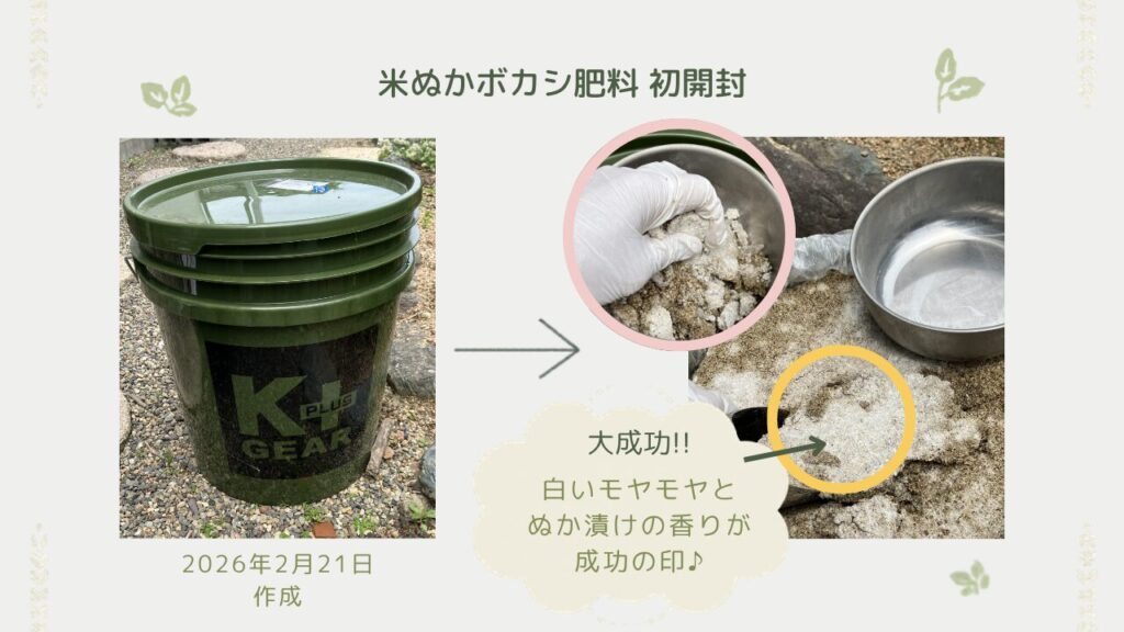2026/2/21作成のボカシ肥料が2か月で発酵した様子