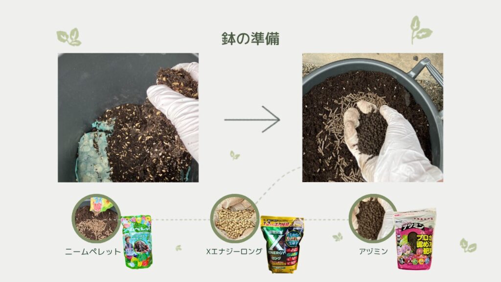 丸いプラ鉢に鉢底石を敷き、培養土、ニームペレット、Xエナジーロング、アヅミンを混ぜ入れる