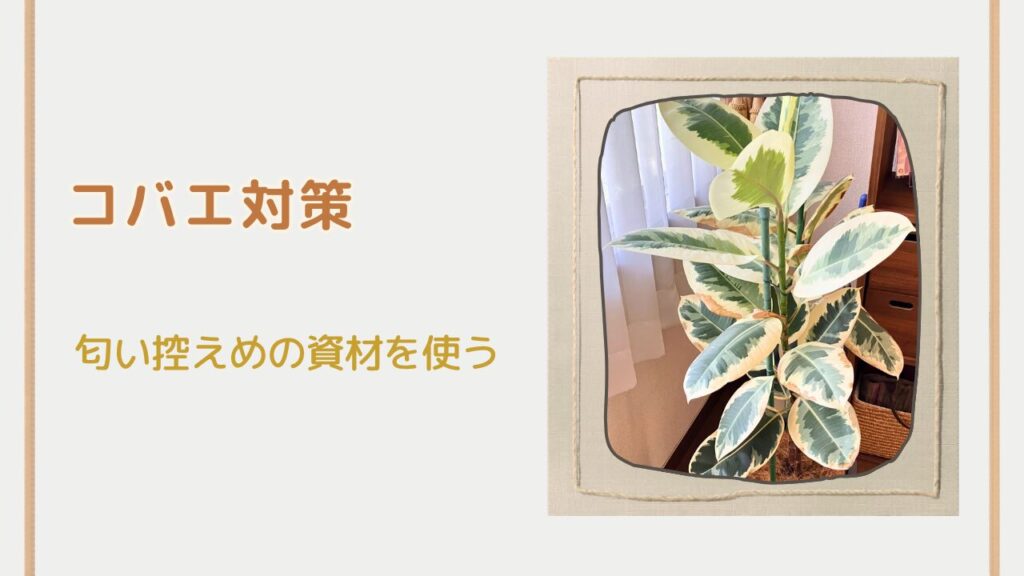 観葉植物の土にコバエが発生している状態