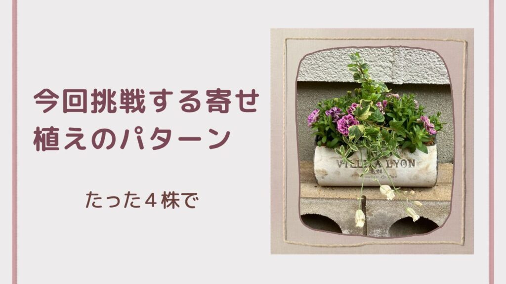 今回挑戦する寄せ植えパターン（4株で作るデザイン）の解説
