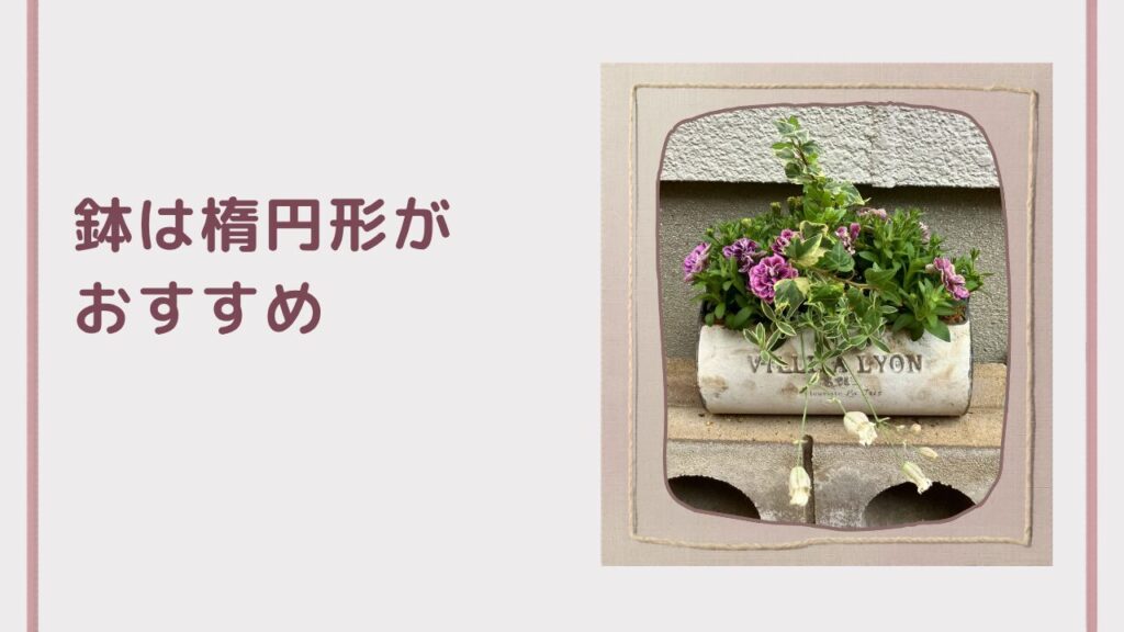 寄せ植えにおすすめの楕円形の鉢の説明