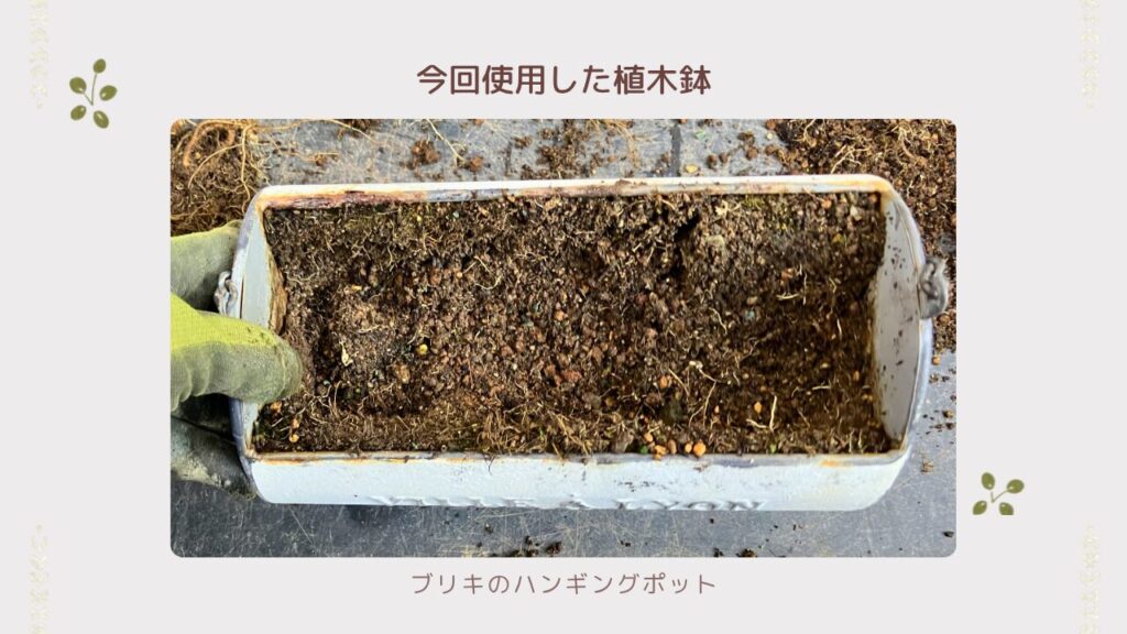 今回使用したブリキのハンギングポット