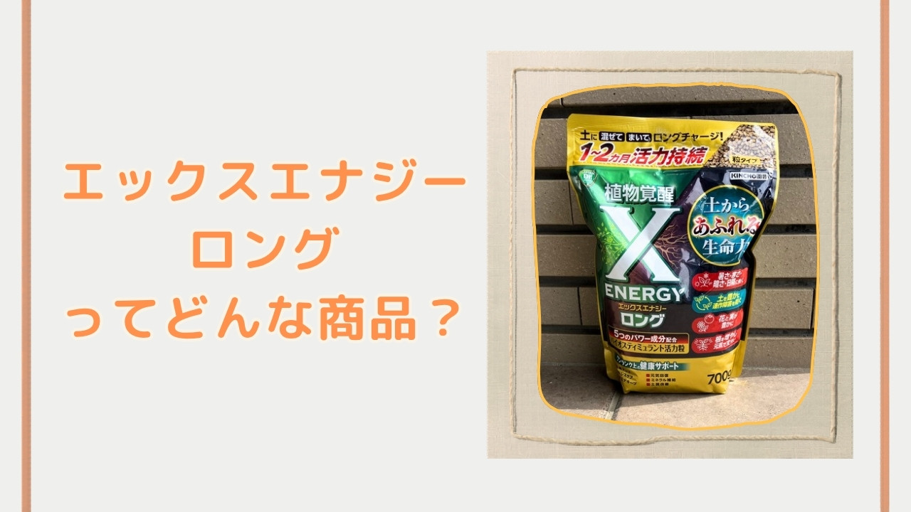 エックスエナジーロングってどんな商品？