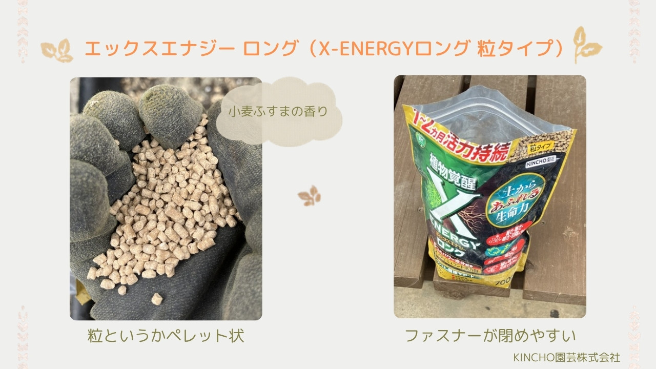 エックスエナジーロングの商品詳細
