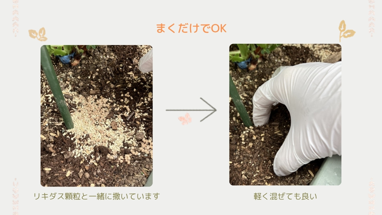 エックスエナジーロングはまくだけでOK
