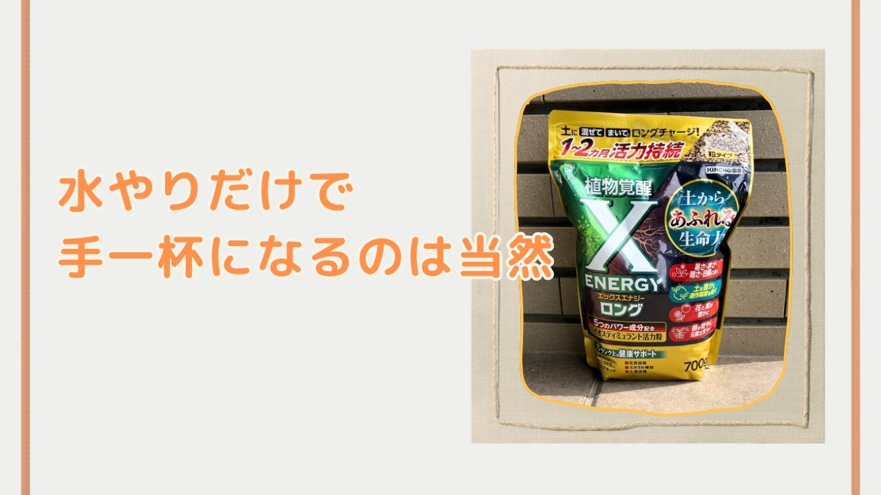 水やりだけで手一杯になるのは当然