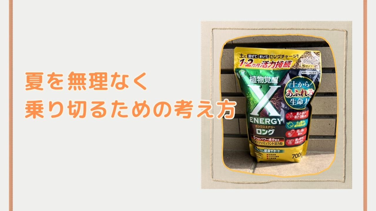 夏を無理なく乗り切るための考え方