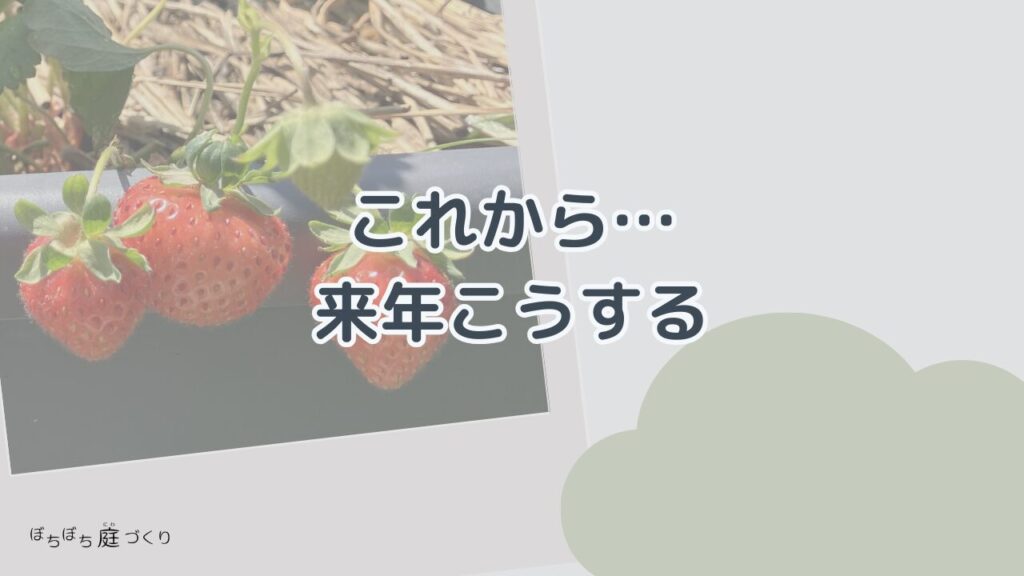 これから…来年こうする