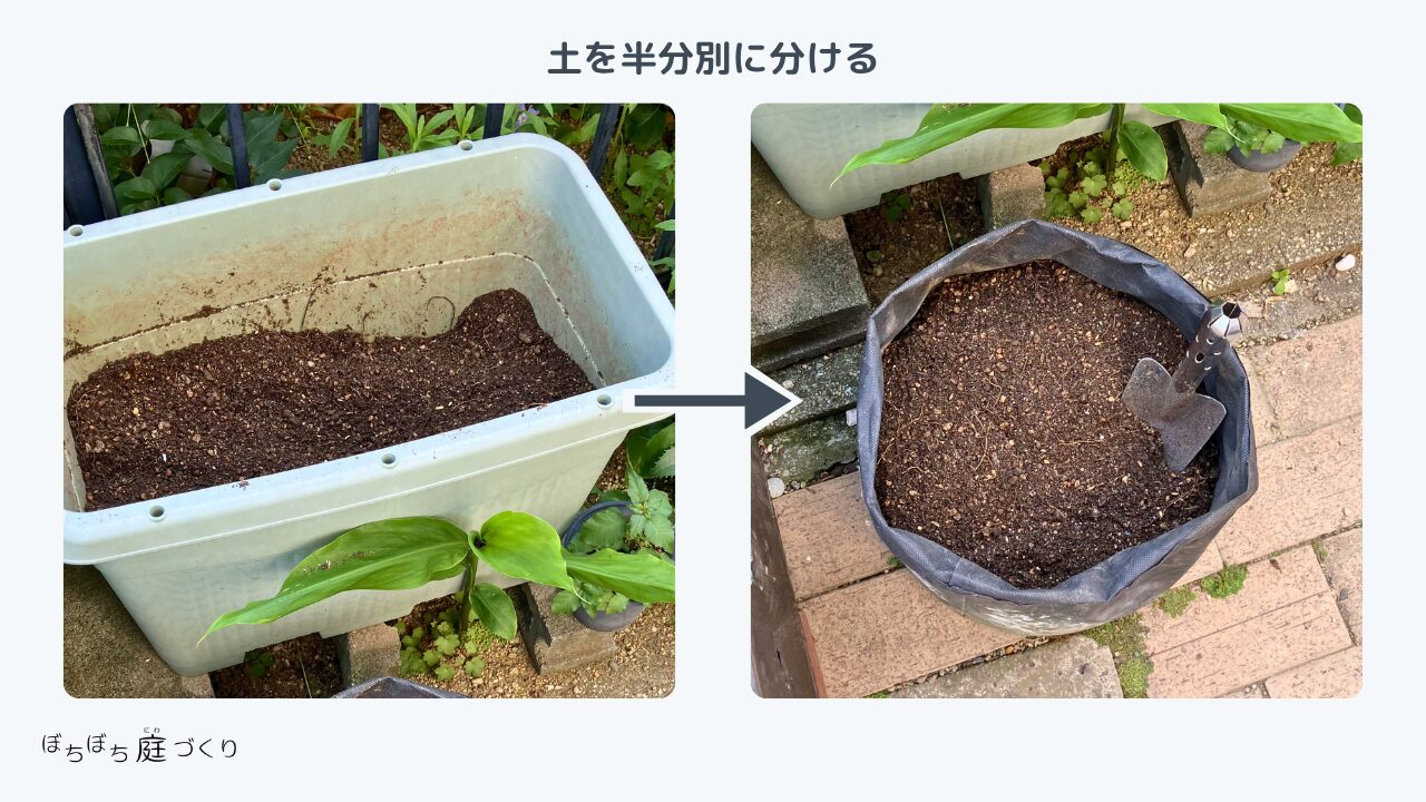 プランターの土を半分取り分けて仮置きする