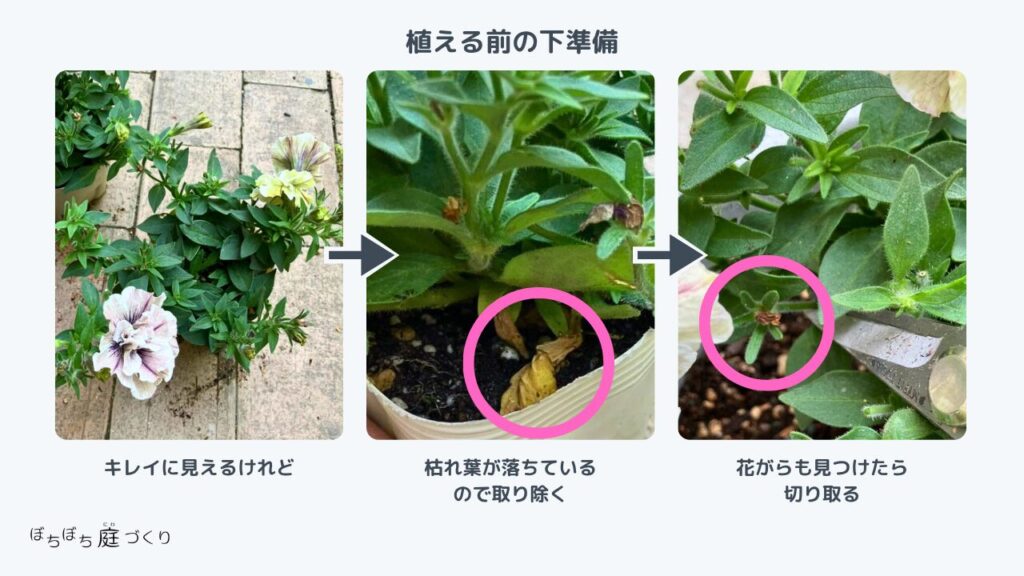 寄植えを植え付ける前の下準備