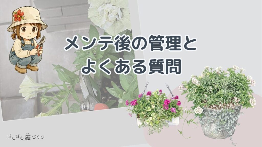 メンテ後の管理とよくある質問