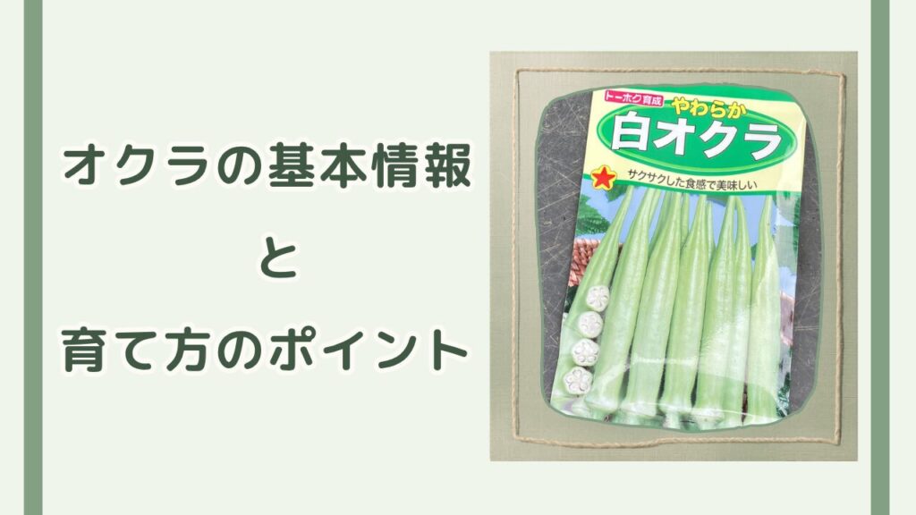今回育てるやわらか白オクラの種袋