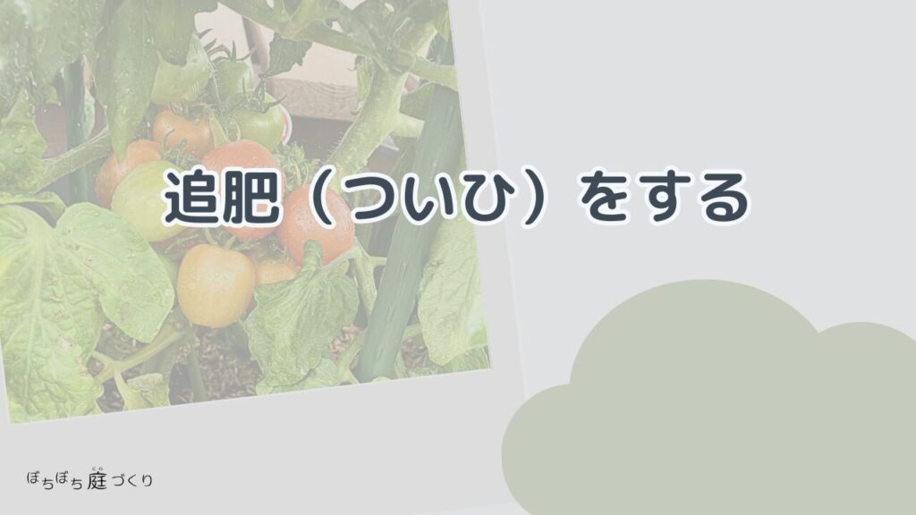 追肥（ついひ）をする
