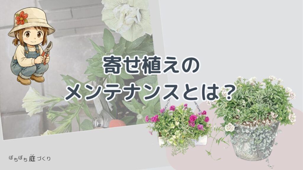 寄せ植えのメンテナンスとは？