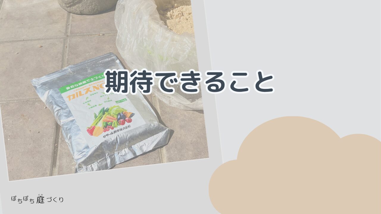 カルスNC-Rに期待できることの見出し画像