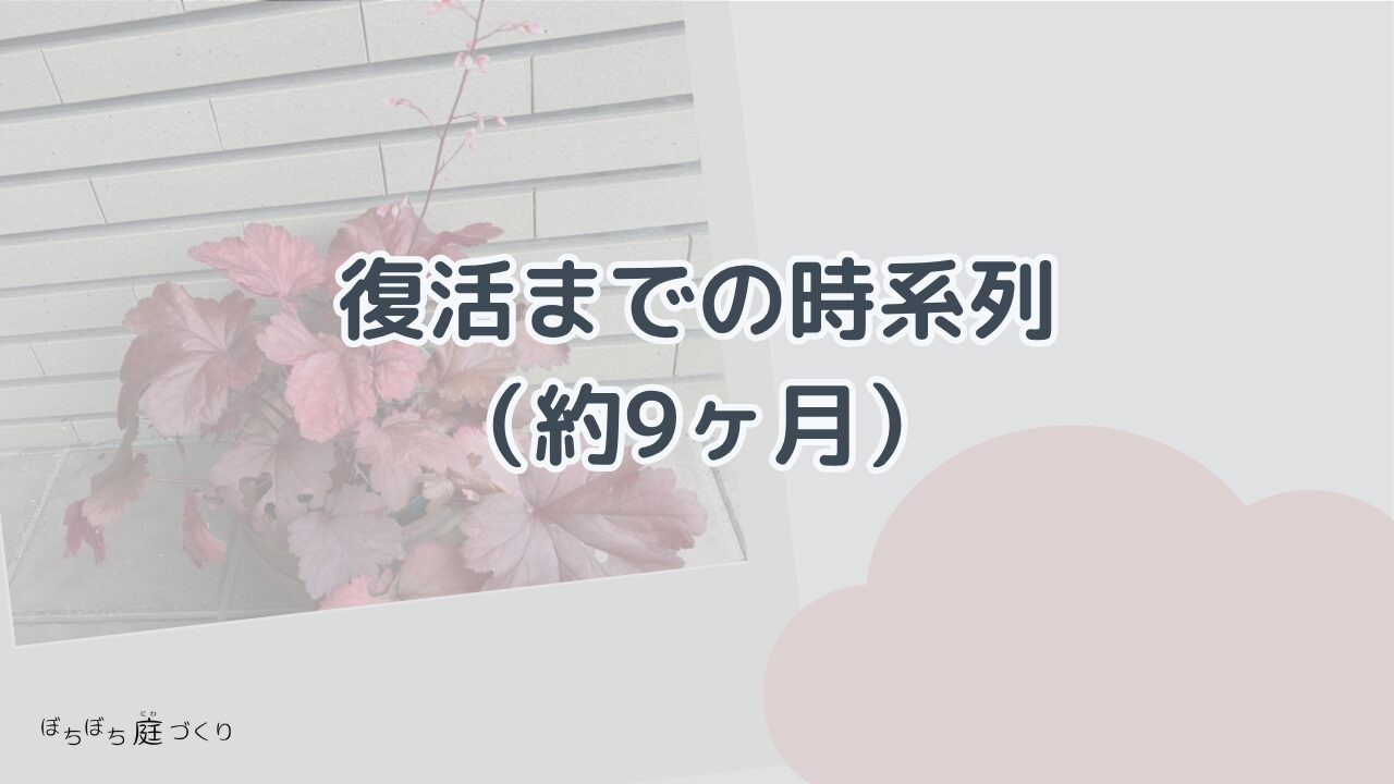 復活までの時系列（約9ヶ月）