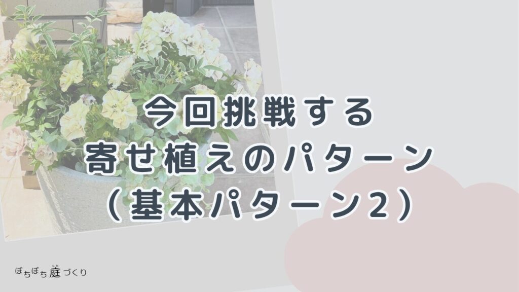 今回挑戦する寄せ植えのパターン（基本パターン2）