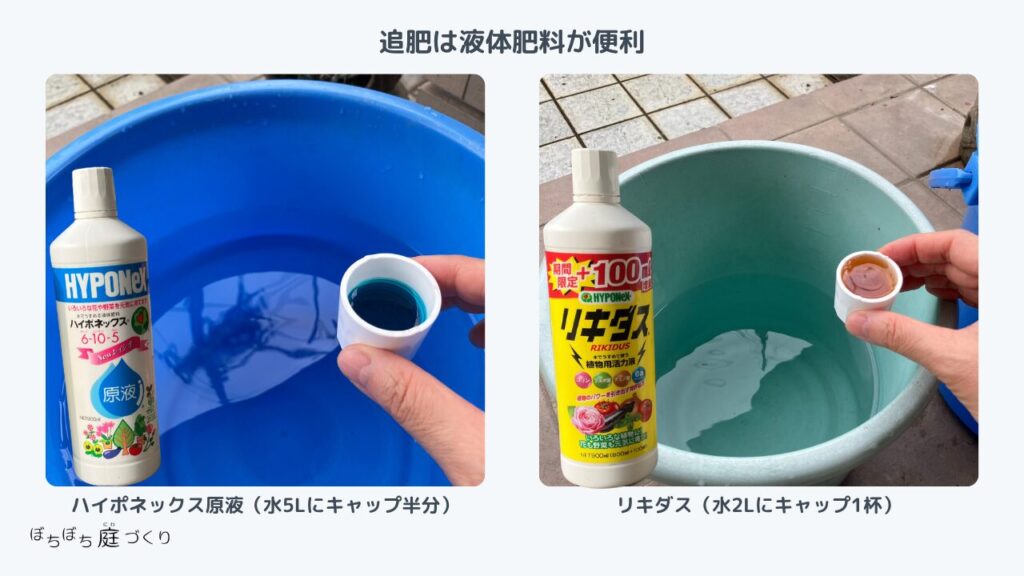 液体肥料と活力液の希釈の目安