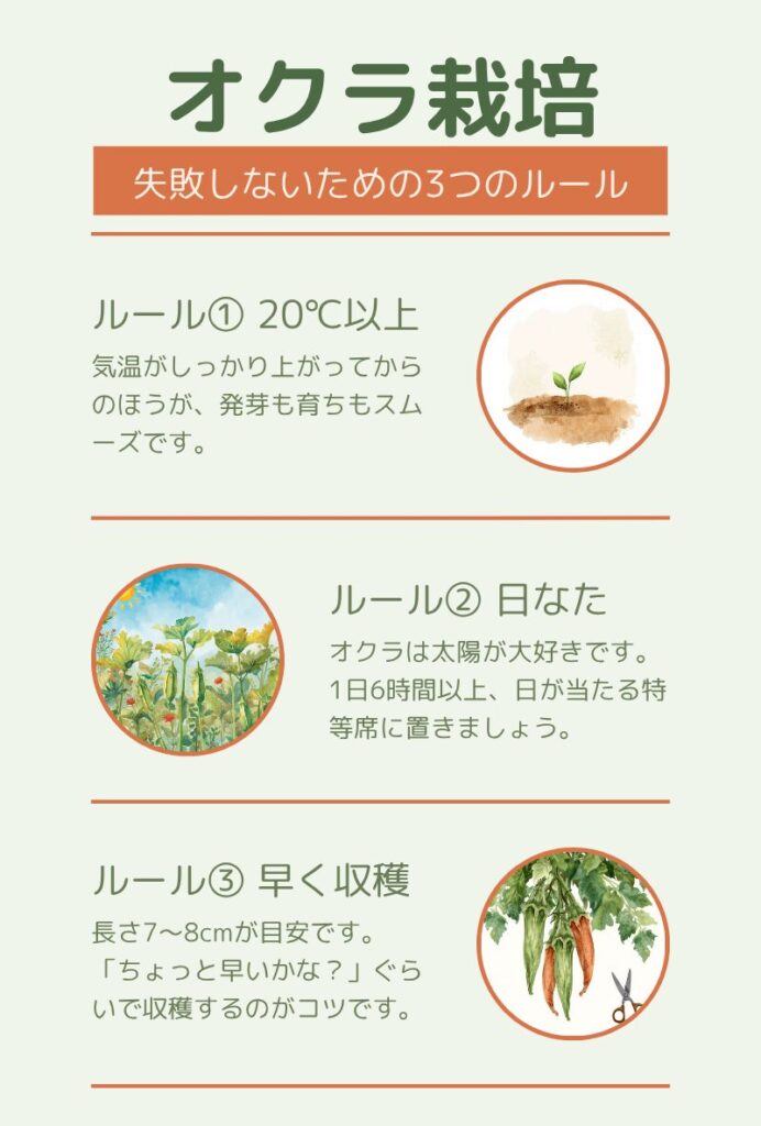オクラ栽培で失敗しないための3つのコツをまとめた画像