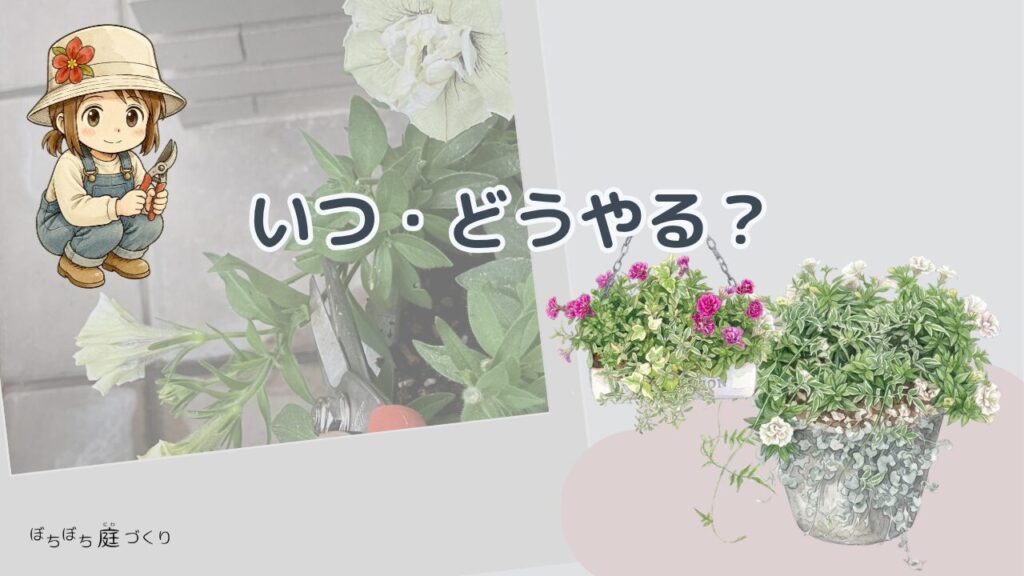 寄せ植えのメンテナンスはいつ・どうやる？