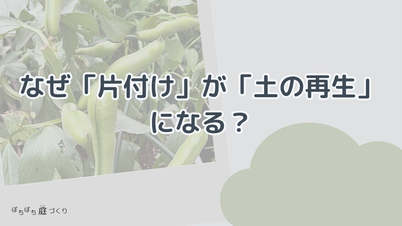 なぜ片付けが土の再生になるの見出し画像