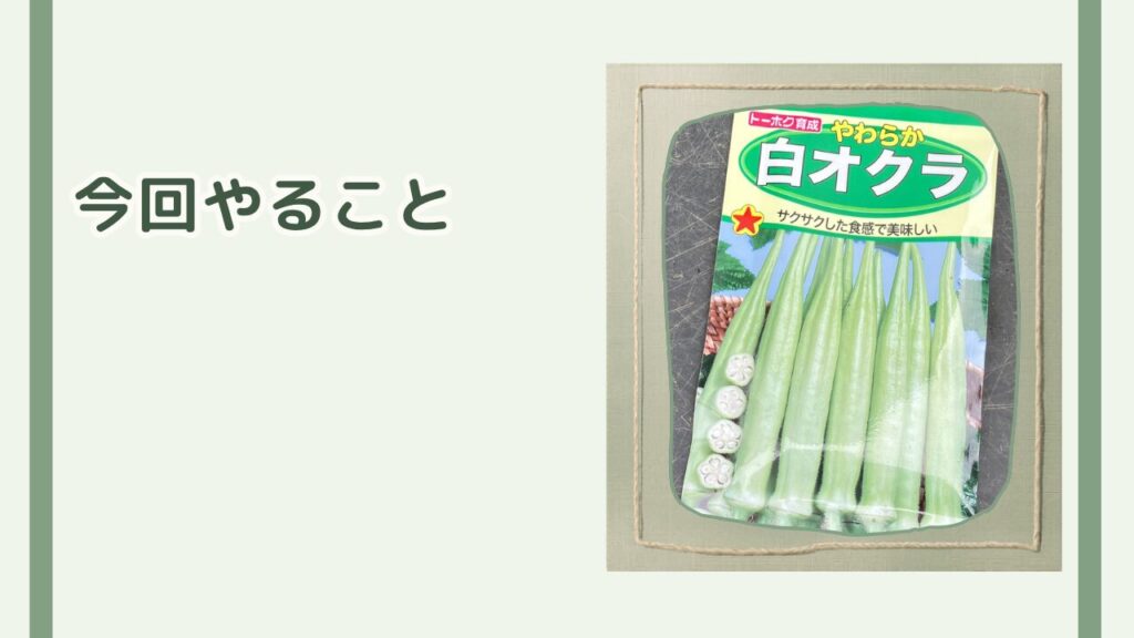 今回育てるやわらか白オクラの種袋