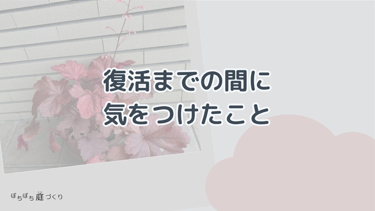 復活までの間に気をつけたこと