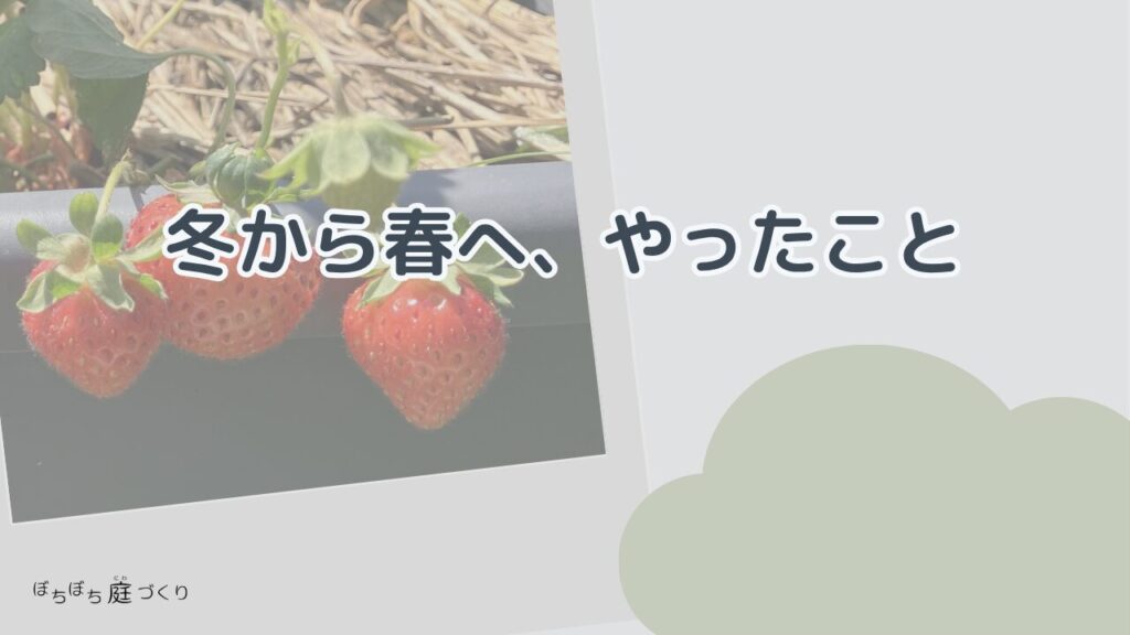 冬から春へ、やったこと