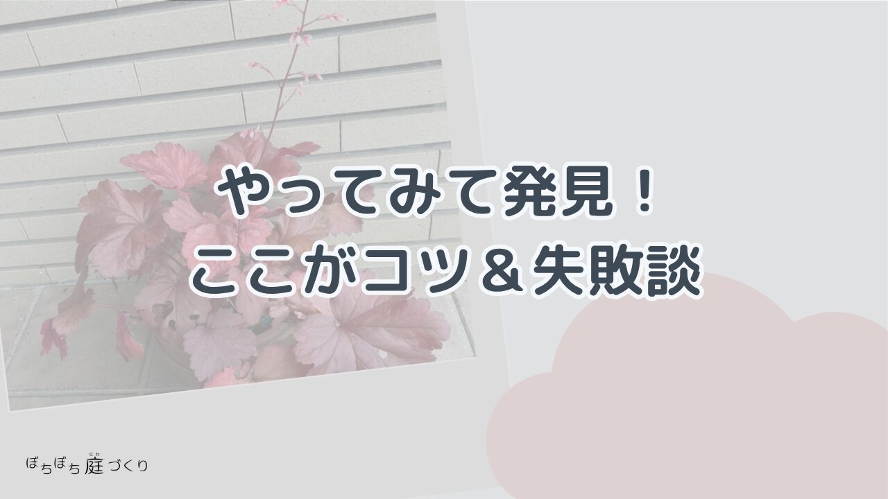 やってみて発見！ここがコツと失敗談