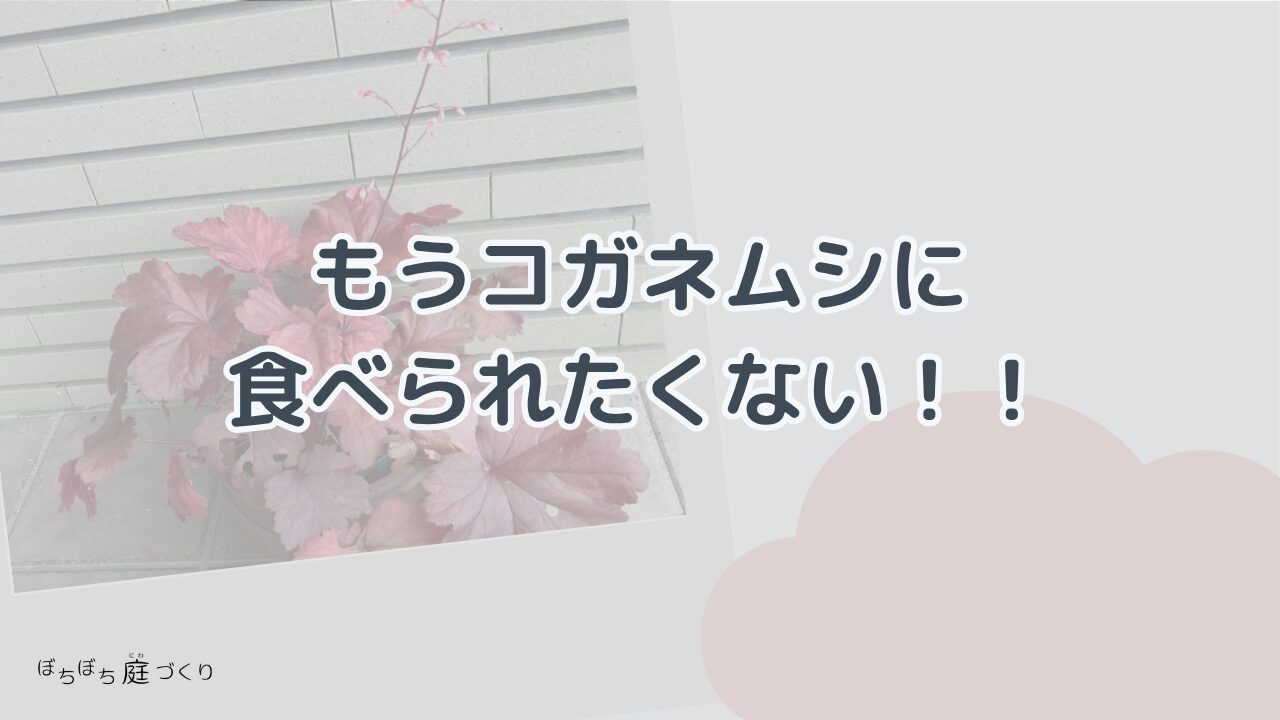 もうコガネムシに食べられたくない