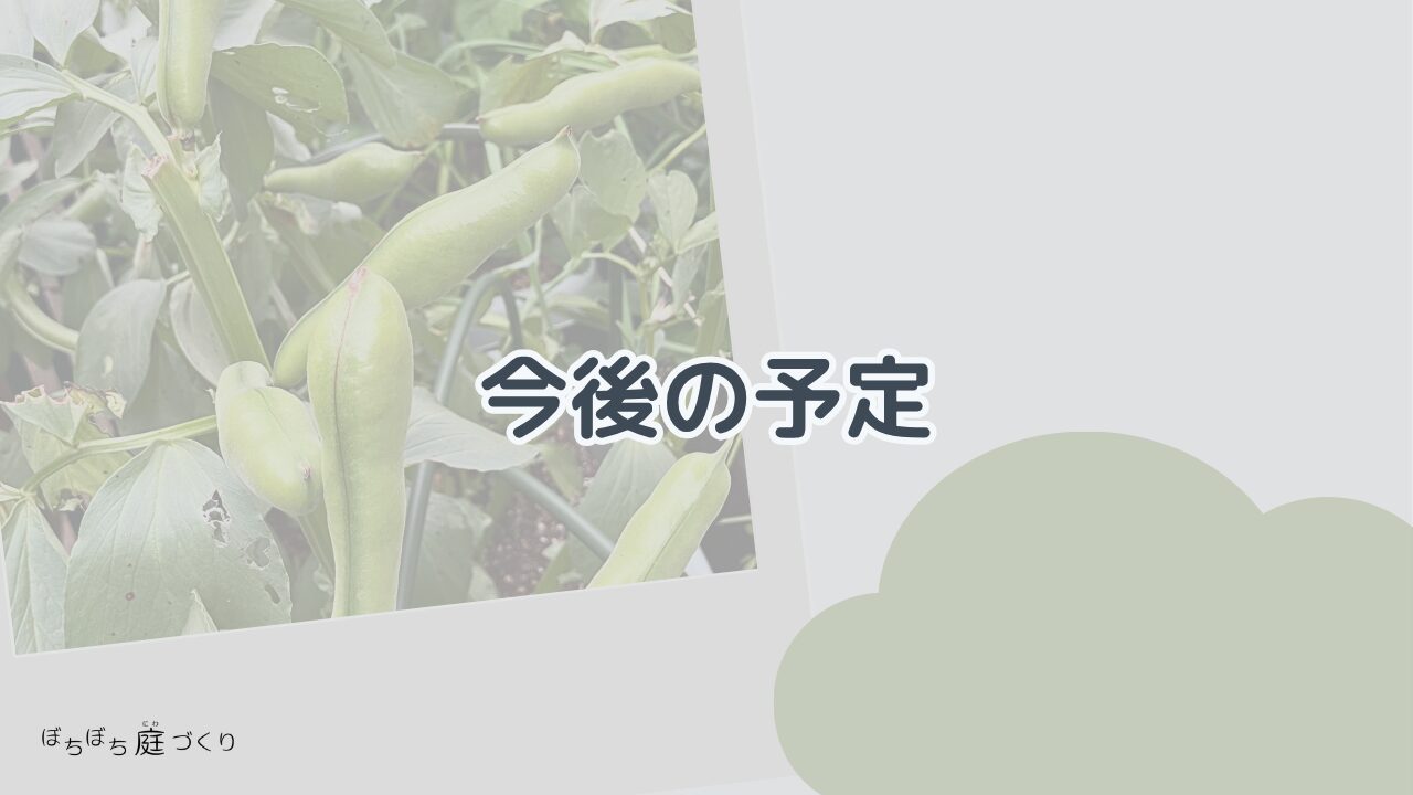 今後の予定の見出し画像