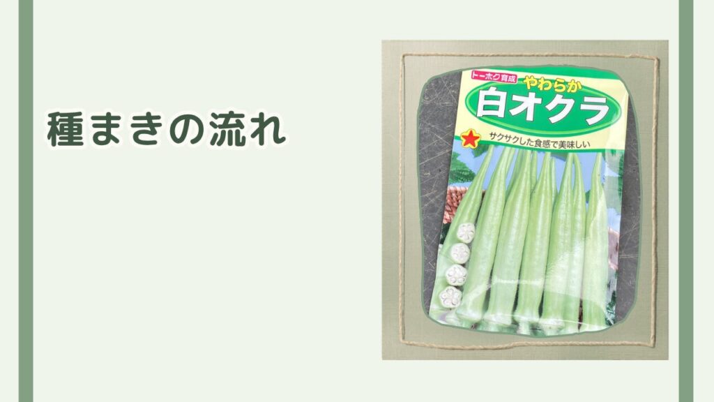 今回育てるやわらか白オクラの種袋