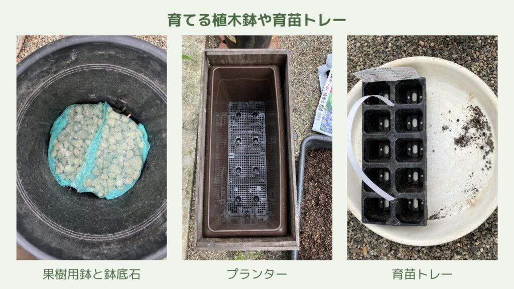 今回種まきをする果樹用植木鉢・プランター・セルトレイの3パターン