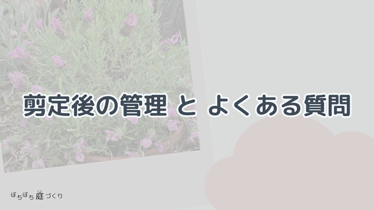 剪定後の管理とよくある質問の見出し画像