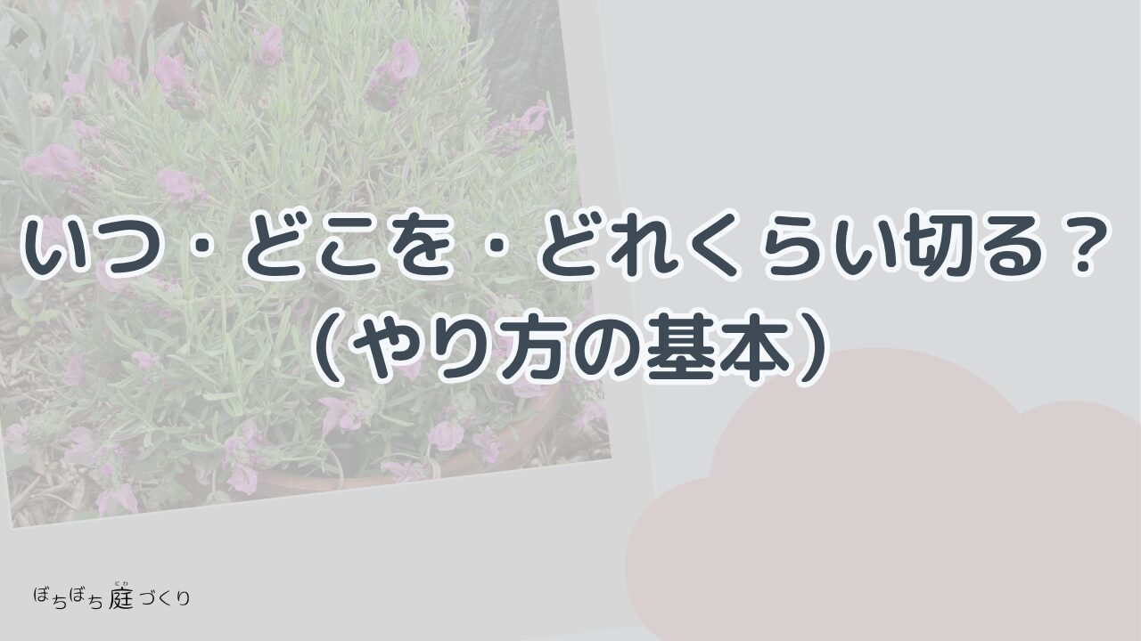 いつ・どこを・どれくらい切る？やり方の基本の見出し画像