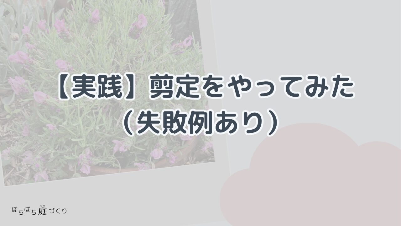 【実践】剪定をやってみた（失敗例あり）の見出し画像