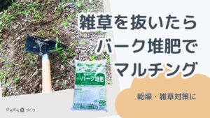 雑草を抜いたあとは、バーク堆肥でマルチング(乾燥・雑草対策に)