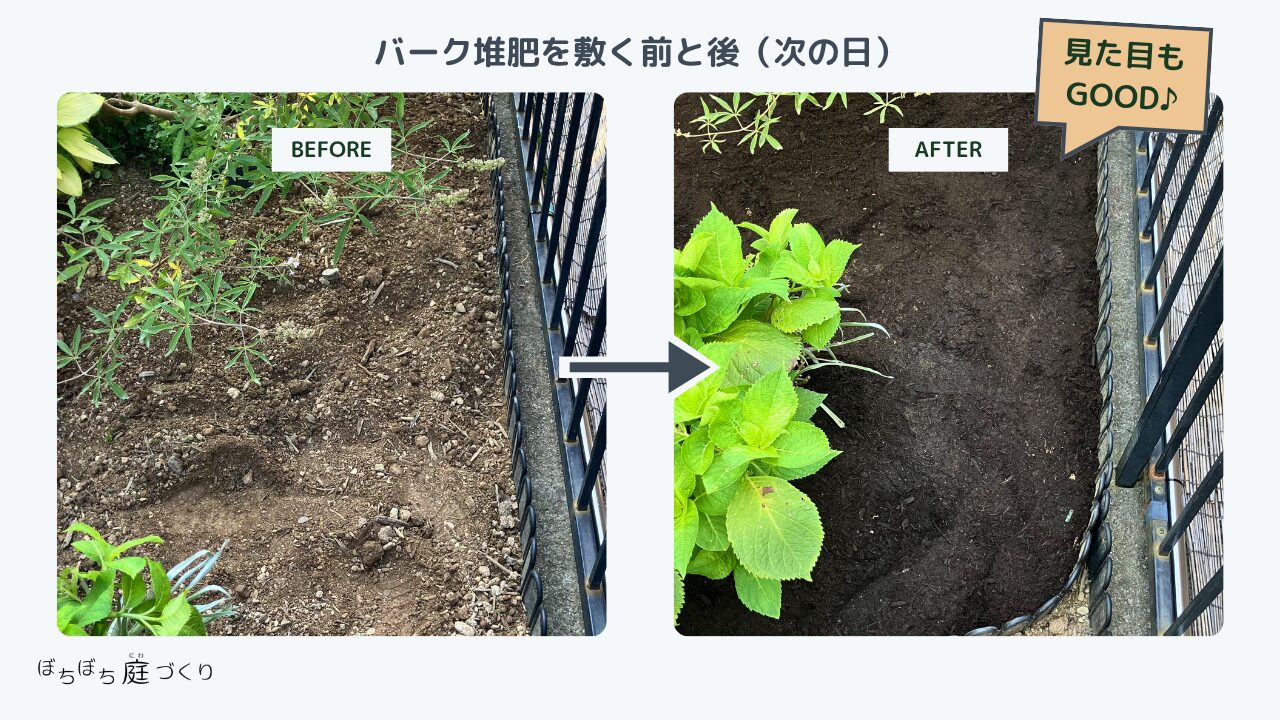 バーク堆肥を敷く前と後(ビフォーアフター)