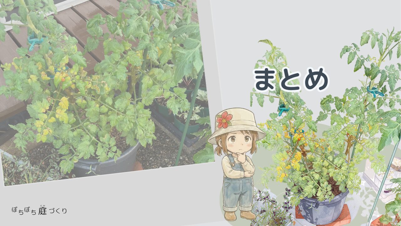 ミニトマトの葉枯れまとめ