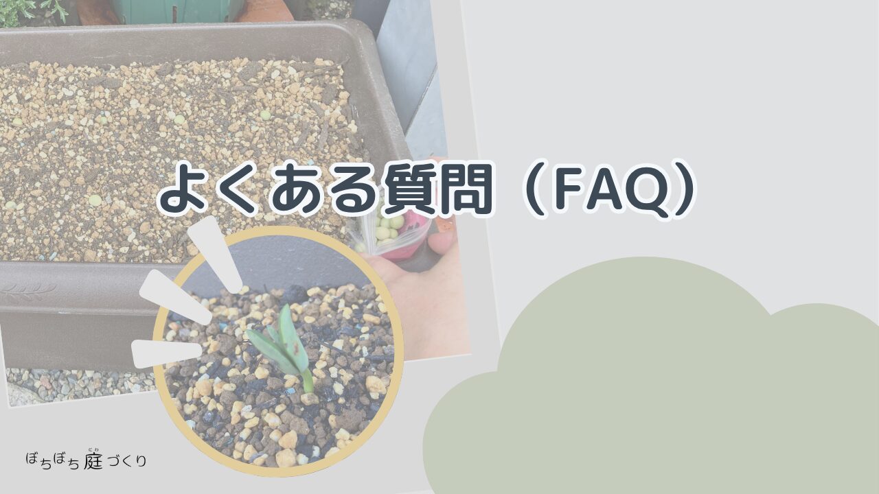枝豆の種まきのよくある質問（FAQ）の見出し画像