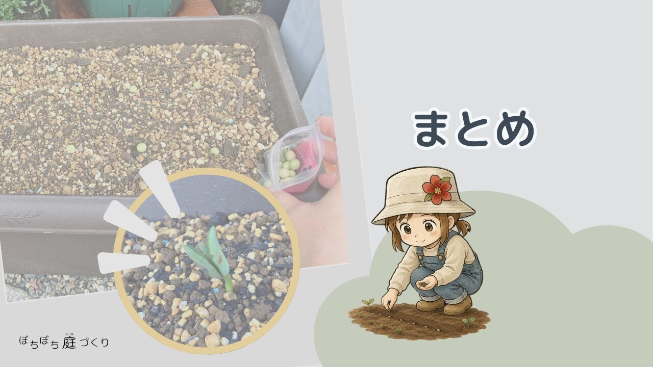 枝豆の種まきのまとめの見出し画像